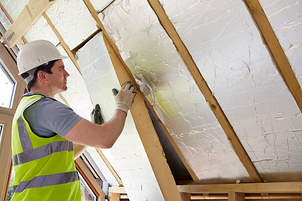 Best Eco-Friendly Insulation in Lake Mills, WI